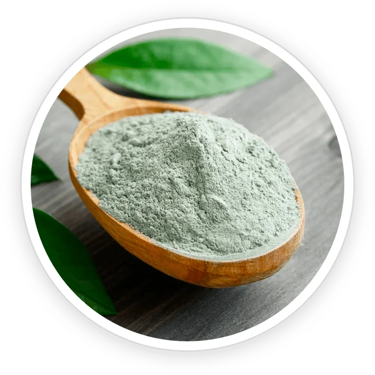 French Green Clay in the TerraCalm mineral clay