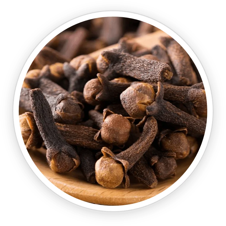 Clove Bud Oil in the TerraCalm mineral clay