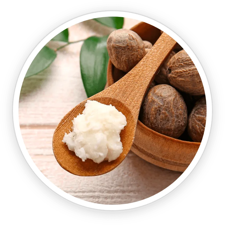 Shea Butter in the TerraCalm mineral clay